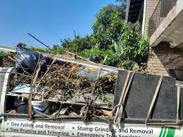 Best Mattress Disposal  in Orleans, IN